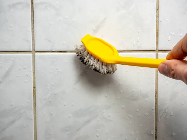 Best Best Mold Removal Companies  in White River Junction, VT